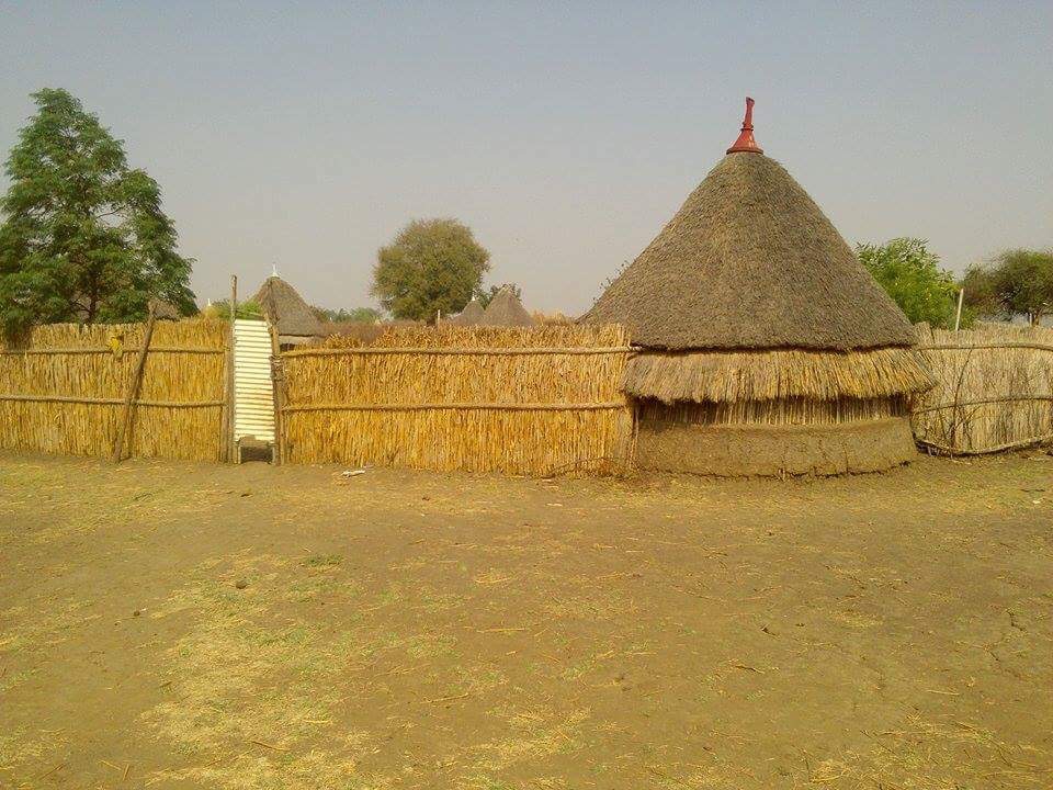 A hut with a conical thatched roof.
